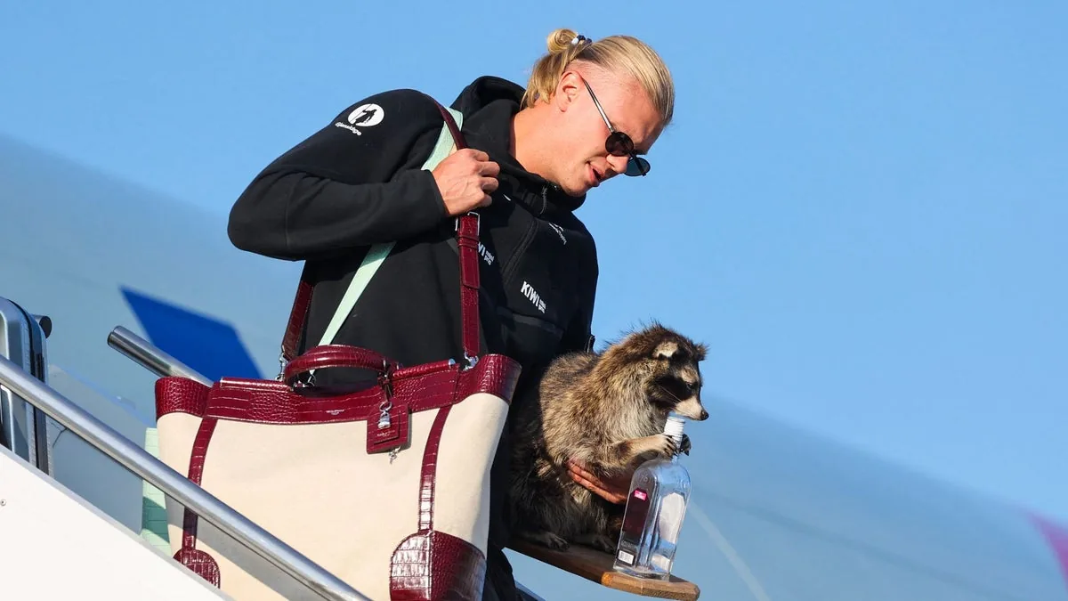 Haaland aterriza en Oslo con un mapache disecado tras su participación en el Mundial